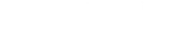 Digital Dealer